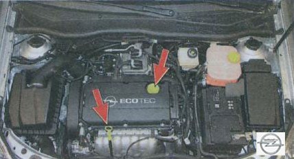 Расположение маслоналивной горловины и щупа под капотом Opel Astra
