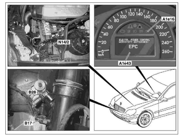 Расположение элементов системы управления впрыском Common Rail  Mercedes-Benz W203