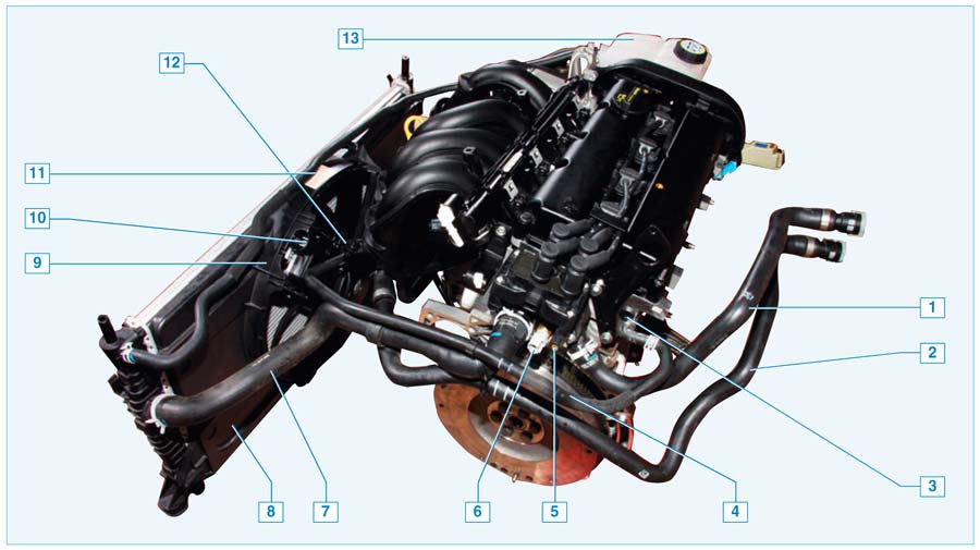 Детали системы охлаждения в автомобиле Ford Focus 2
