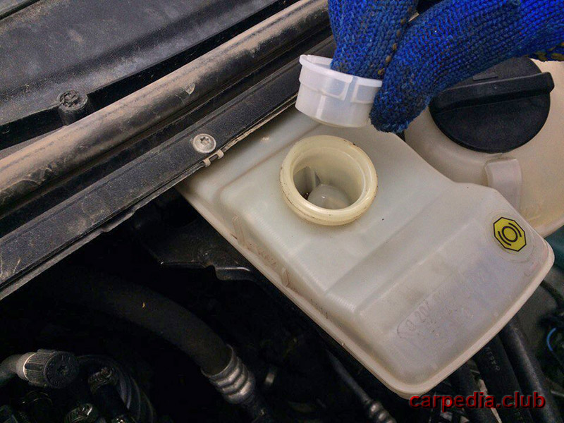Защитная сеточка бачка тормозной жидкости на автомобиле Mercedes-Benz Vito W639 2007