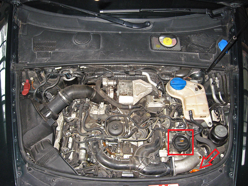 Расположение щупа двигателя и заливной горловины двигателя на Audi A6 4F/C6 2004-2011