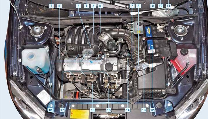 Элементы электронной системы управления двигателем Лада Гранта (ВАЗ 2190)