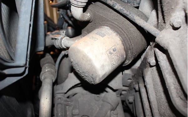 Расположение масляного фильтра на автомобиле Ford Focus 2
