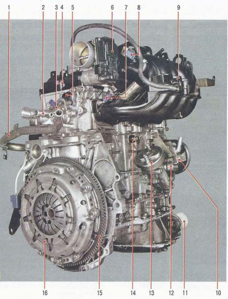 Двигатель вид справа Nissan Primera 2001-2007