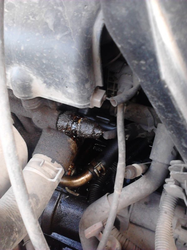 Датчик давления масла двигателя Toyota RAV4