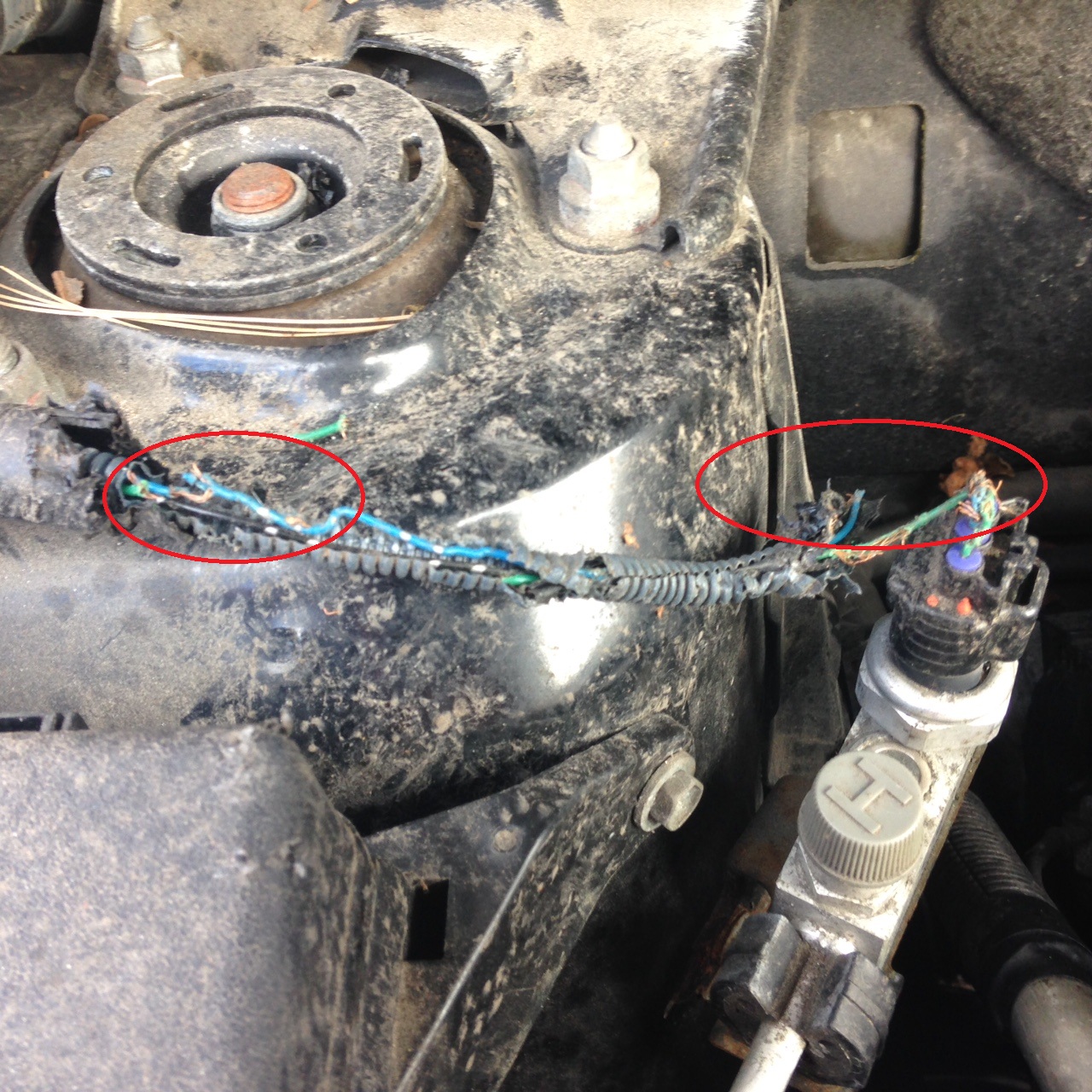 Поврежденная изоляция провода в Toyota RAV4