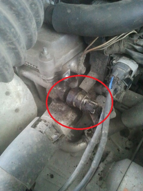 Месторасположение датчика давления масла в двигателе Toyota RAV4