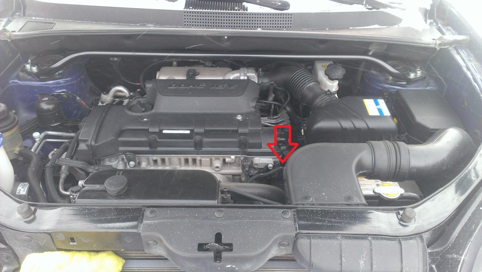 Расположение щупа АКПП на автомобиле Hyundai Tucson JM 2004-2010