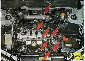 Осмотр подкапотного пространства при перегреве двигателя Nissan Almera Classic