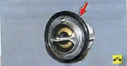 Уплотнительное кольцо термостата Nissan Almera Classic
