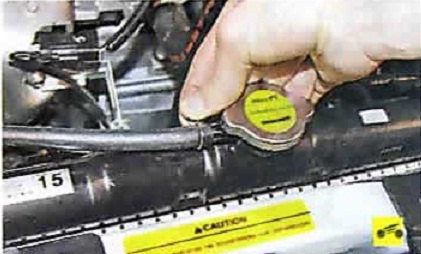 Хомут крепления пароотводящего шланга радиатора Nissan Almera Classic
