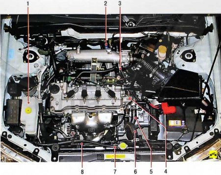 Расположение элементов системы охлаждения Nissan Almera Classic