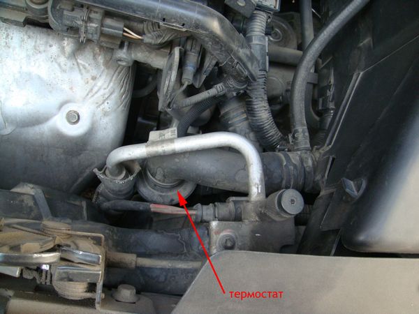Осмотр состояния термостата в автомобиле Ford Focus 2