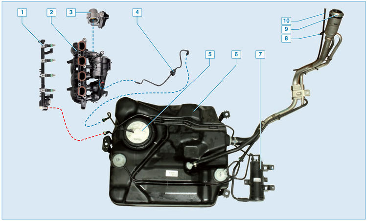 Элементы системы питания двигателя автомобиля Ford Focus 2