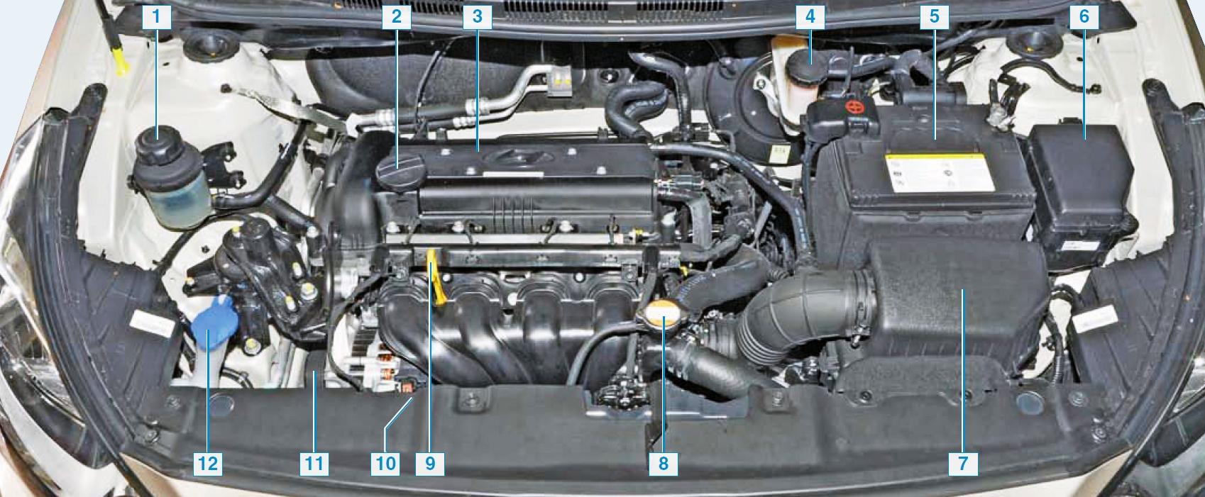 Расположение узлов и агрегатов в подкапотном пространстве на автомобиле Hyundai Solaris