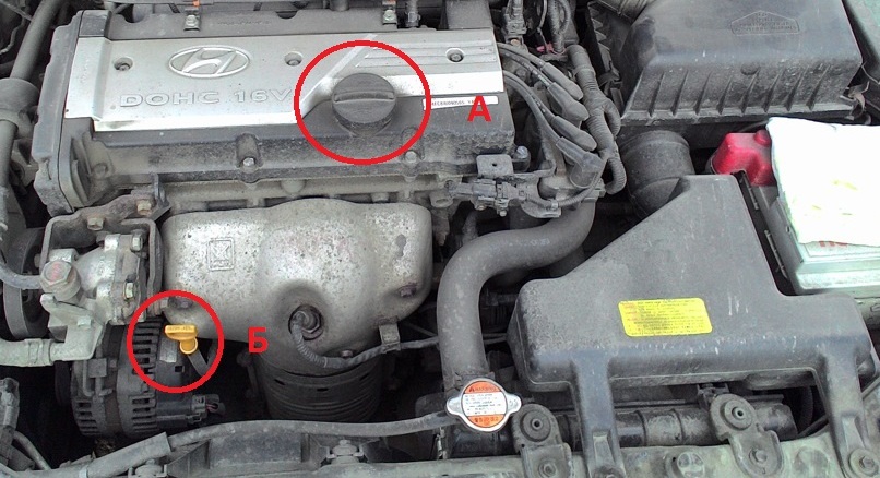 Расположение масляного щупа двигателя и заливной горловина двигателя на автомобиле Hyundai Accent MC 