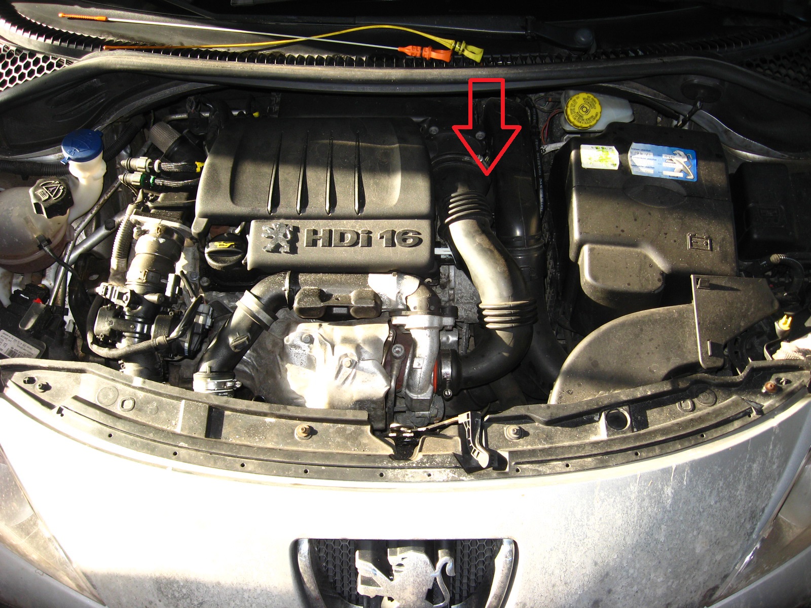 Расположение топливного фильтра автомобиля Peugeot 207