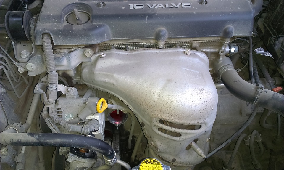 Место установки термостата на двигателе 2AZ-FE Toyota Camry