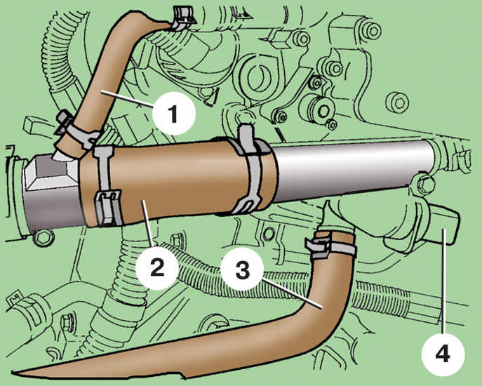 Схема отсоединения шлангов системы охлаждения дизельного двигателя Skoda Fabia I