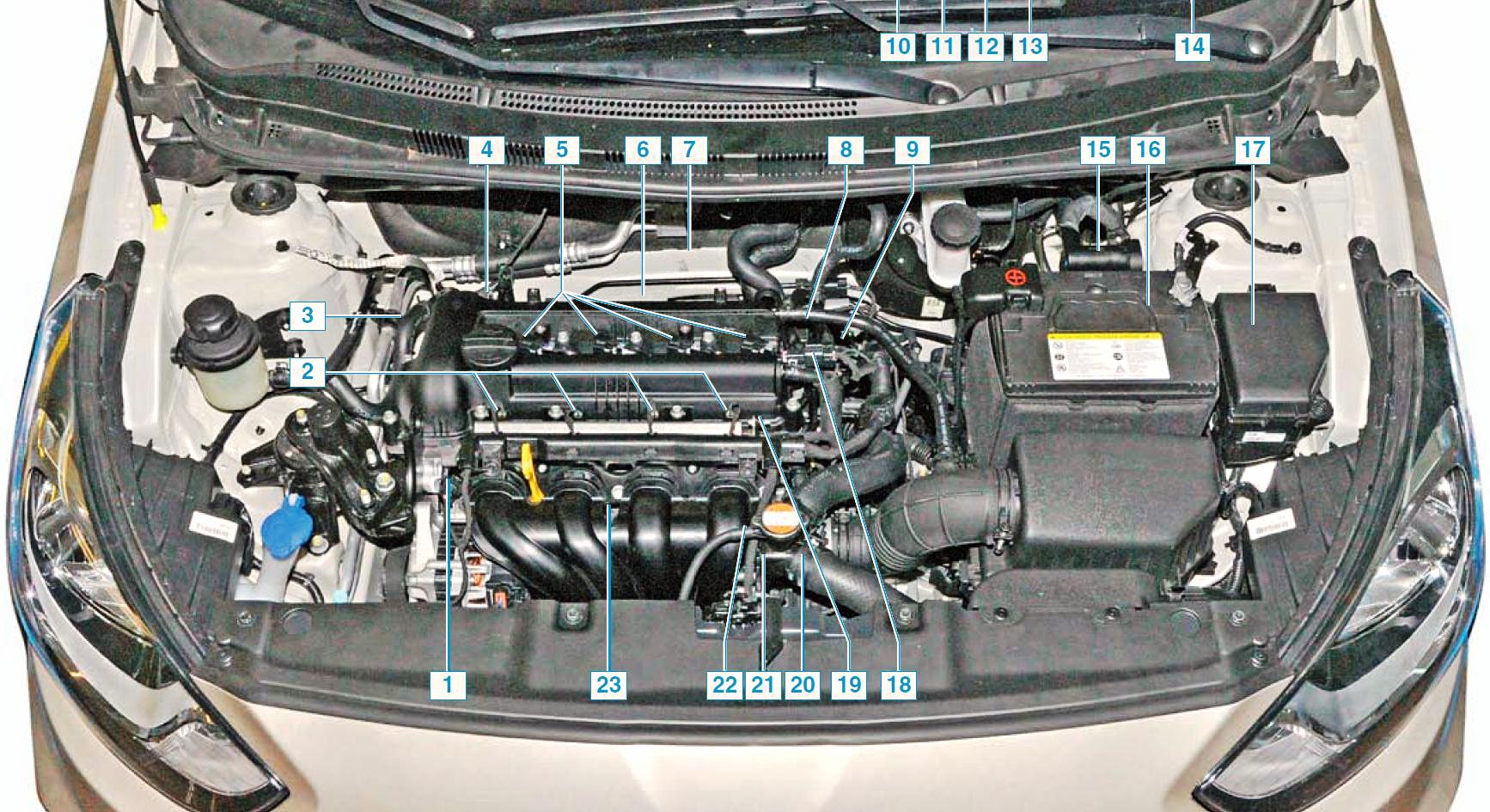 Элементы электронной системы управления двигателем на автомобиле Hyundai Solaris