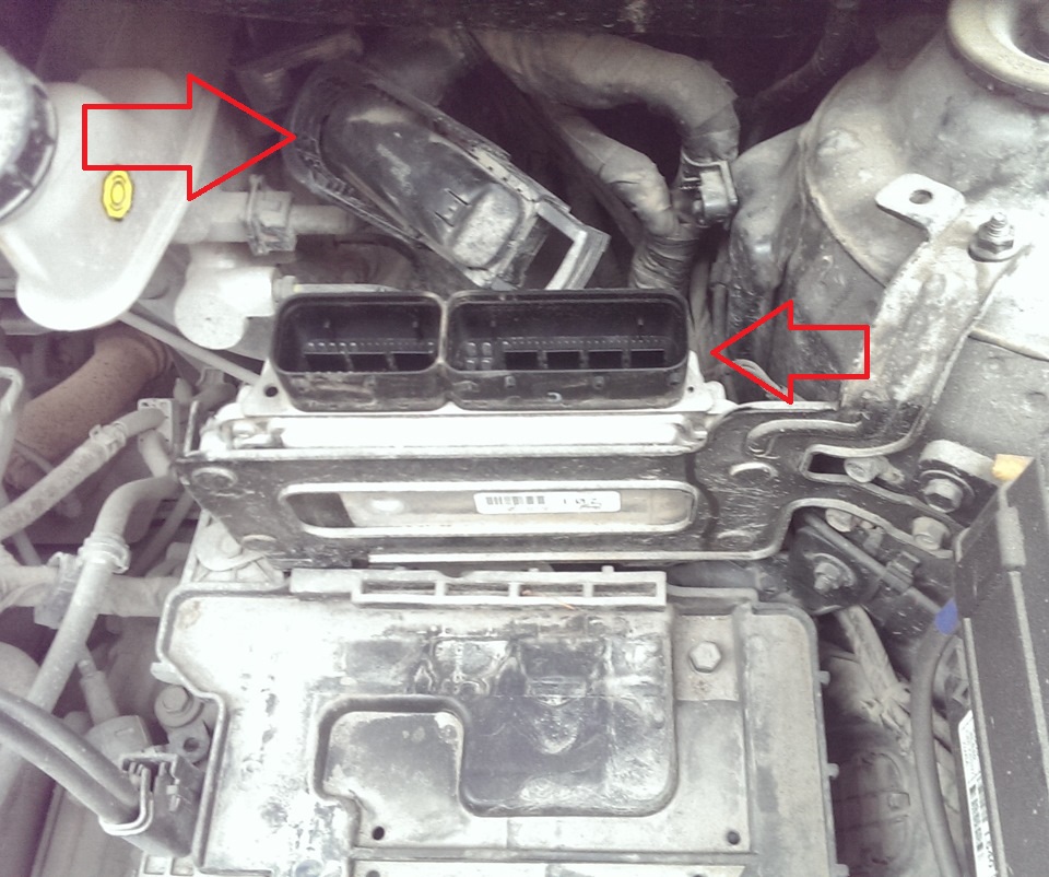 Снять колодку проводов электронного блока управления двигателем на автомобиле Hyundai Solaris