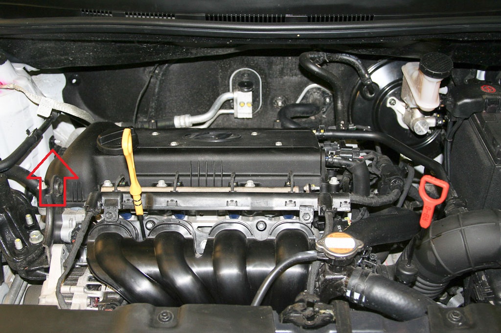 Расположение гайки держателя трубопроводов на правом брызговике кузова на автомобиле Hyundai Solaris