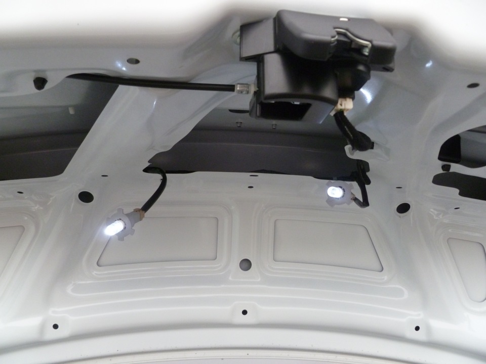 Вынимаем патрон освещения номерного знака с лампой из корпуса на автомобиле Hyundai Solaris