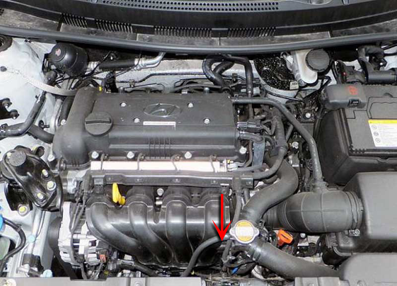 Расположение надписи модели двигателя на автомобиле Hyundai Solaris 2010-2016
