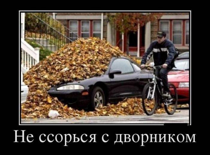 Машина закидана листьями - не ссорься с дворником